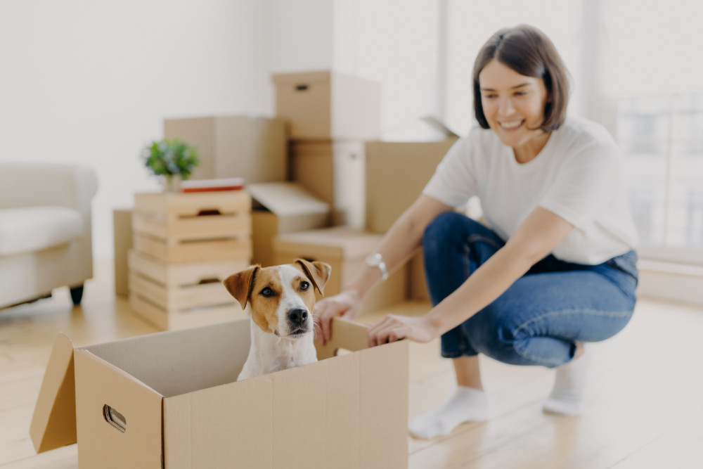 Acheter une maison directement au propriétaire : les étapes à ne pas négliger